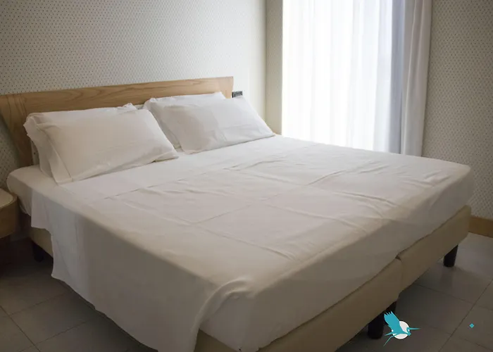 Chioggia Airone Hotel